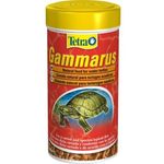 Tetra-Gammarus-00004454