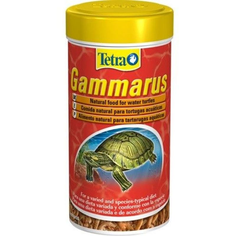 Tetra-Gammarus-00004454