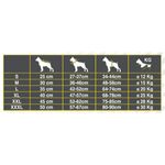 Croci-Salvagente-Arancione-per-Cane-10135327