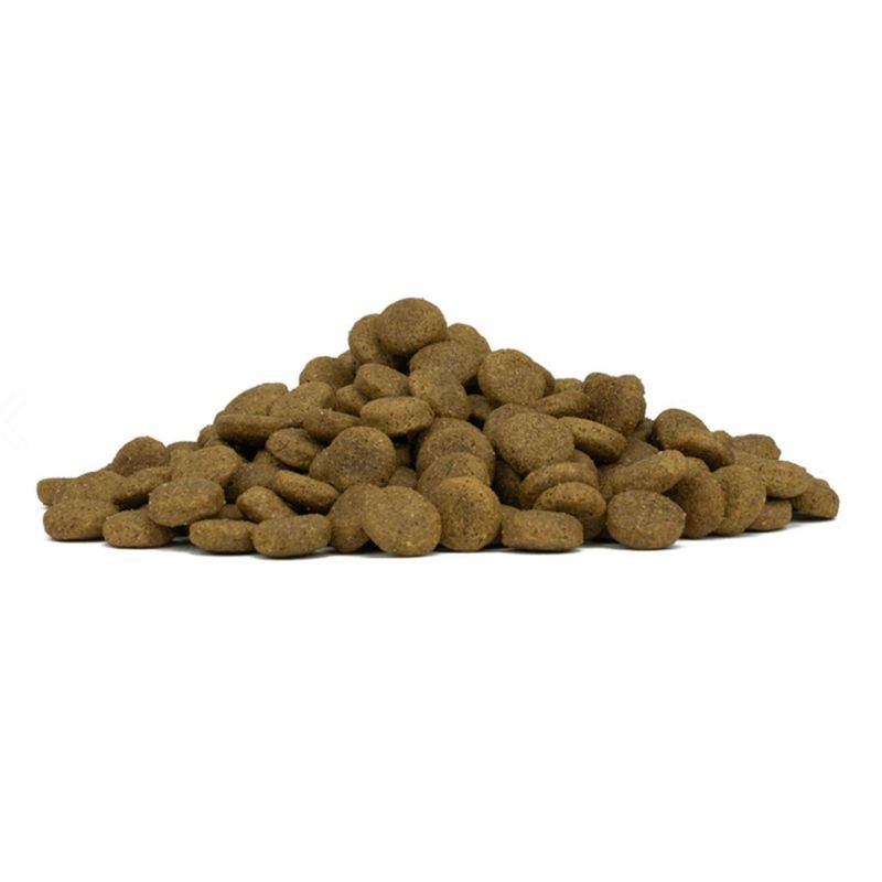 forza10-light-all-breeds-maintenance-tonno-e-riso-10173548--4-