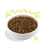 Edgard---Cooper-Dog-Adult-Carota-e-Zucchine-10173580-4