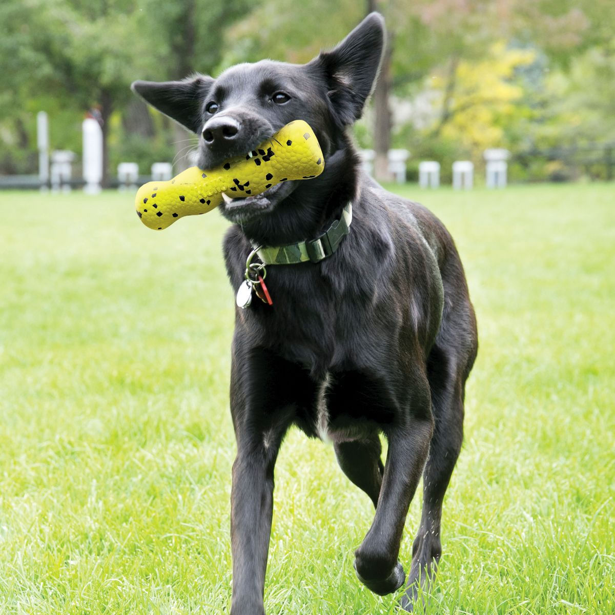 Gioco Da Tavolo Cane Scattante Biting Billy – Gioco Di Società Divertente Per Bambini, In Plastica, Dimensioni 14,5 Cm