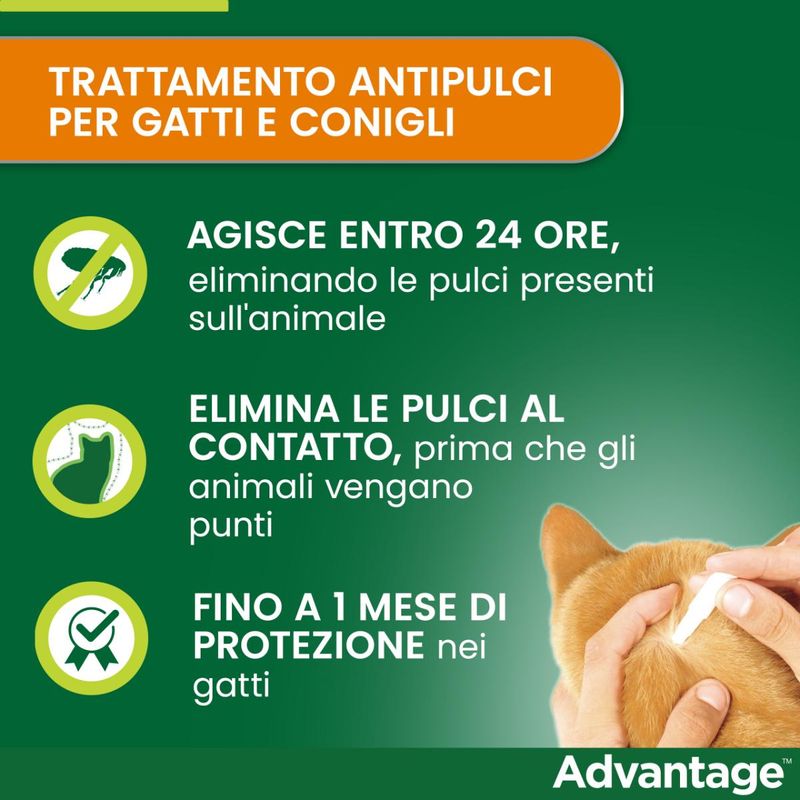 advantage-antiparassitario-spot-on-per-gatti-00000117--1-