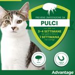 advantage-antiparassitario-spot-on-per-gatti-00000117--2-