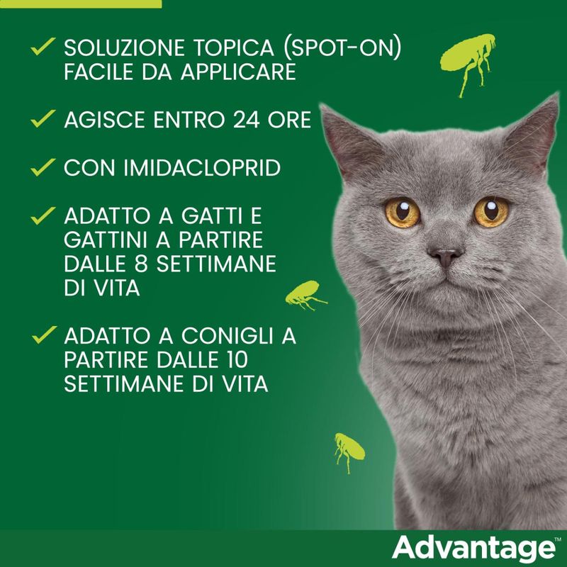 advantage-antiparassitario-spot-on-per-gatti-00000117--3-