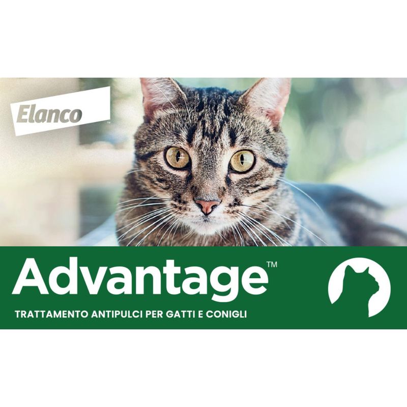 advantage-antiparassitario-spot-on-per-gatti-00000117--6-