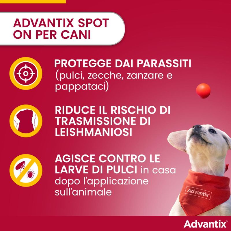 advantix-spot-on-cane-4-10kg-00004505--1-