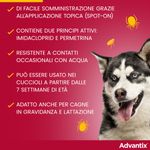 advantix-spot-on-cane-4-10kg-00004505--3-