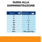 hills-prescription-diet-k-d-j-d-kidney-mobility-alimento-umido-per-cani-10112054--2-