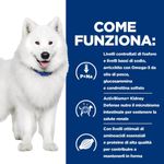 hills-prescription-diet-k-d-j-d-kidney-mobility-alimento-umido-per-cani-10112054--6-