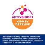 hills-prescription-diet-k-d-j-d-kidney-mobility-alimento-umido-per-cani-10112054--7-