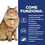 Hill-s-Prescription-Diet-kd-Kidney---Mobility-Multipack-12X85G-Alimento-Umido-per-Gatti--10077212-9