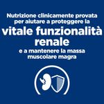 Hill-s-Prescription-Diet-kd--Kidney-Care-Alimento-Umido-per-Gatti-con-Manzo-10079431-10