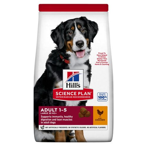 Hill's Science Plan Dog Large Adult al Pollo