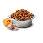 n-d-ocean-adult-mini-merluzzo-zucca-e-arancia-10108830--2-