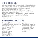 Hill-s-Prescription-Diet-kd-Kidney-Care-Alimento-Umido-per-Gatti-con-Salmone-10110760-5