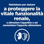 Hill-s-Prescription-Diet-kd-Kidney-Care-Alimento-Umido-per-Gatti-con-Salmone-10110760-10