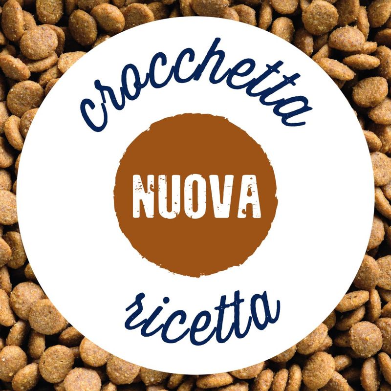 crocchetta-nuova-ricetta-10138288