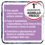 hi-lamb-cane-adult-low-calories-agnello-10138288--3-