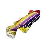 Gioco-Gatto-Crazy-Fish-Giallo-10170459-5