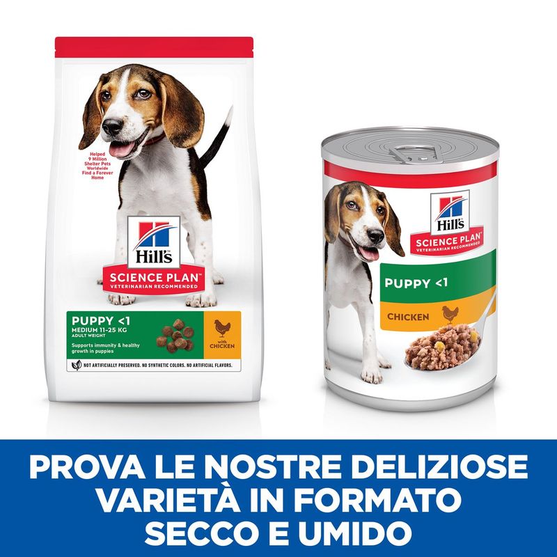 Hill-s-Science-Plan-Puppy-Lattina-370G-00002757-10