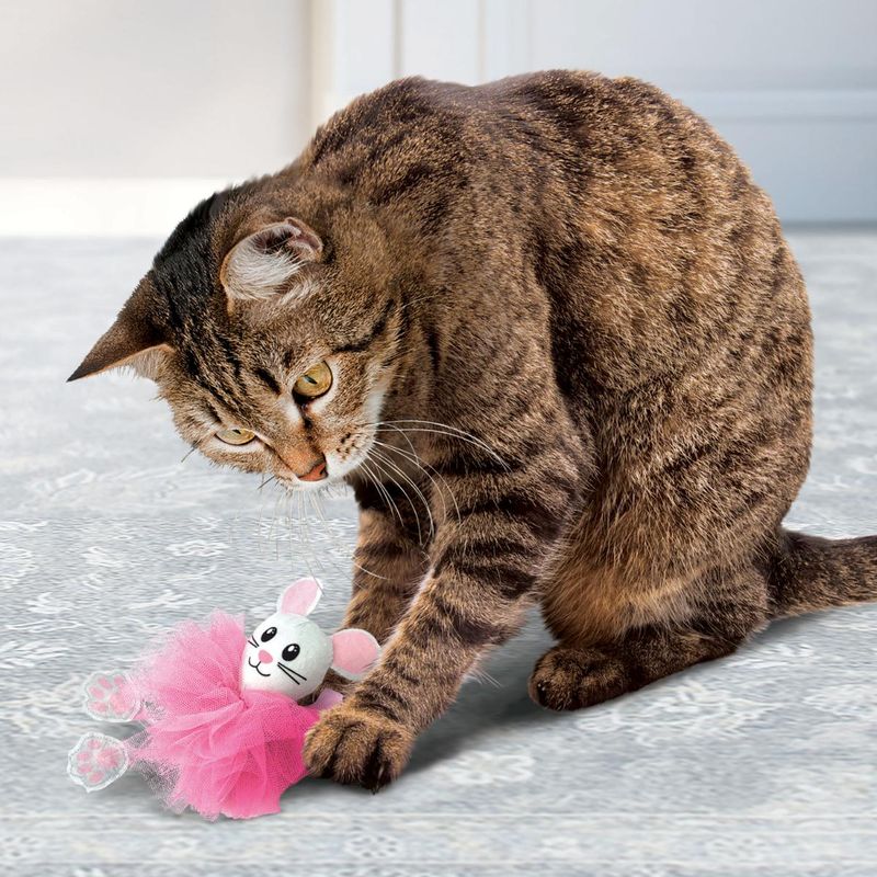 kong-cat-flingaroo-tutu-10174017--4-