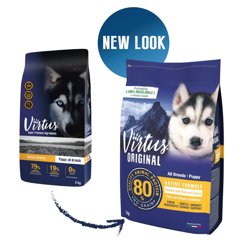 virtus-dog-puppy-native-10078734--4-