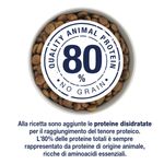 virtus-dog-puppy-native-10078734--7-