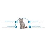 Advance-Cat-Sterilized-Tacchino-10133056-5