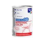 FORZA10-Cane-Intestinal-Colon-10129584-1