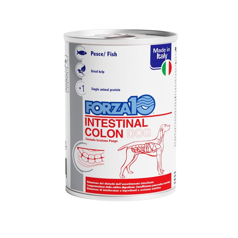 FORZA10-Cane-Intestinal-Colon-10129584-1