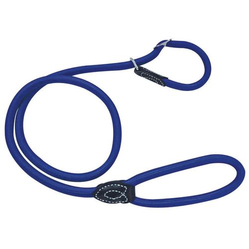 Guinzaglio a Scorrimento Blu