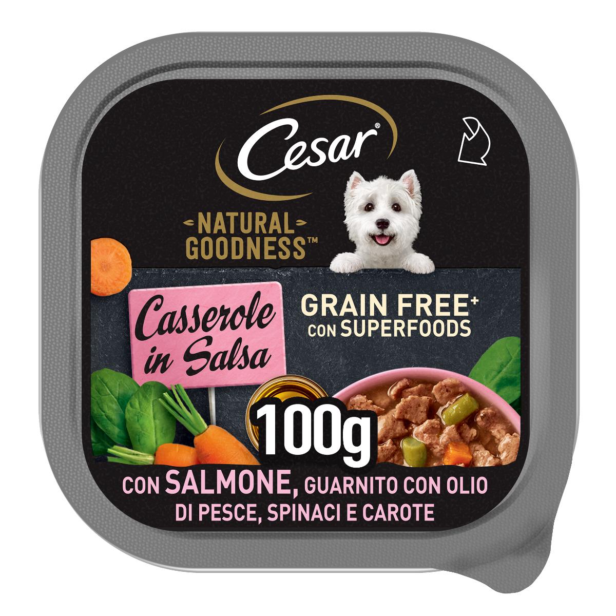 Cesar grain free dog shops food