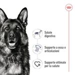 royal-canin-maxi-dog-busta-multipack-20x140g-10110788--5-