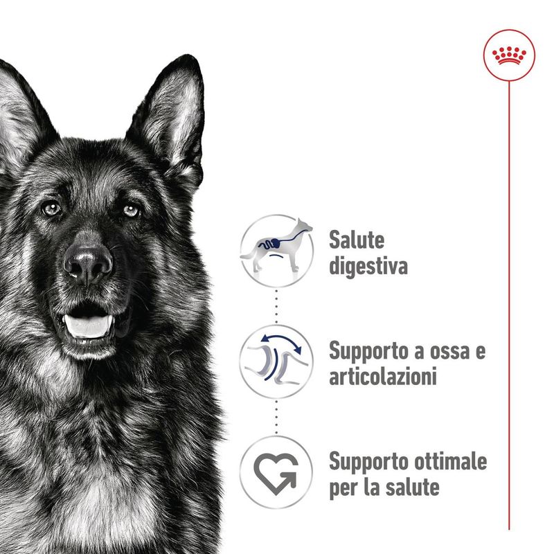 royal-canin-maxi-dog-busta-multipack-20x140g-10110788--5-