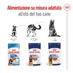 royal-canin-maxi-dog-busta-multipack-20x140g-10110788--7-