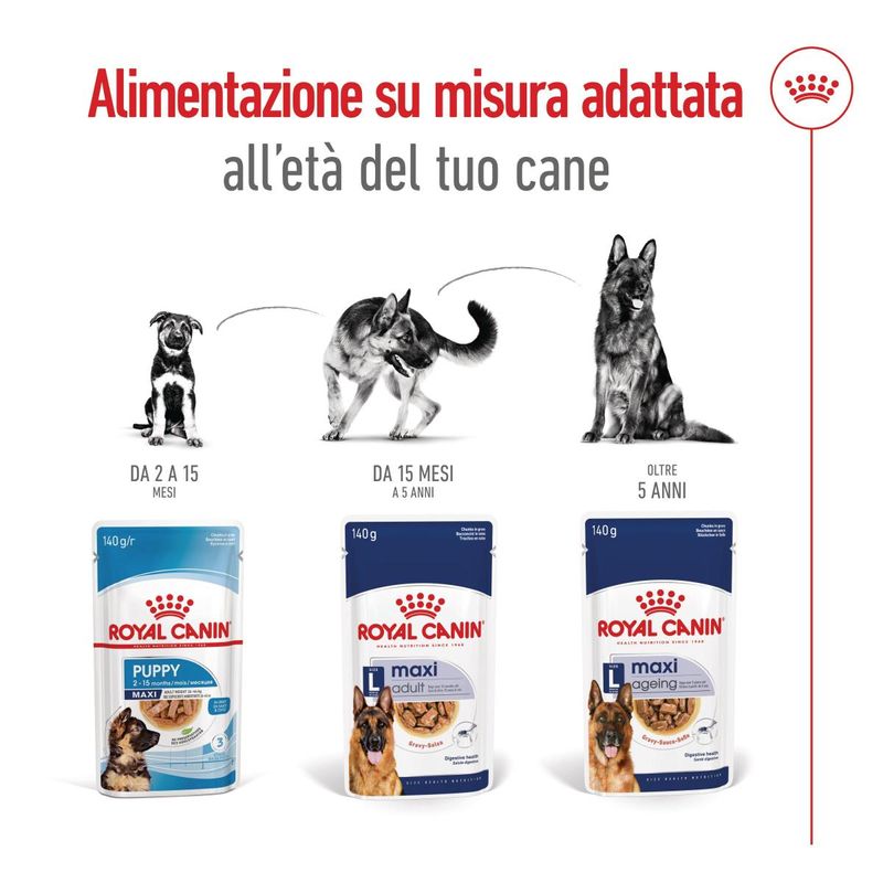 royal-canin-maxi-dog-busta-multipack-20x140g-10110788--7-