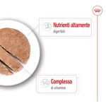 royal-canin-mini-adult-lattina-multipack-12x195g-10174174--4-