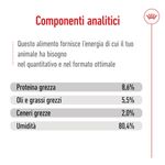 royal-canin-mini-adult-lattina-multipack-12x195g-10174174--6-