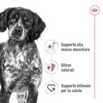 royal-canin-medium-adult-lattina-410g-10174176--3-