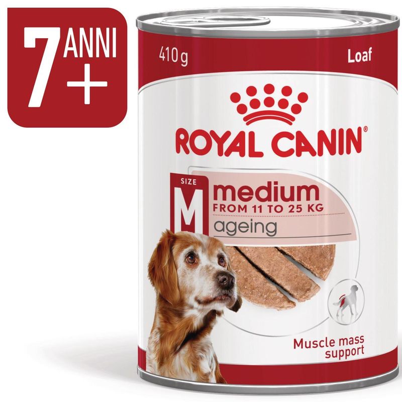 royal-canin-medium-ageing-lattina-410g-10174177--1-