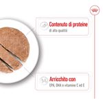 royal-canin-medium-ageing-lattina-410g-10174177--4-