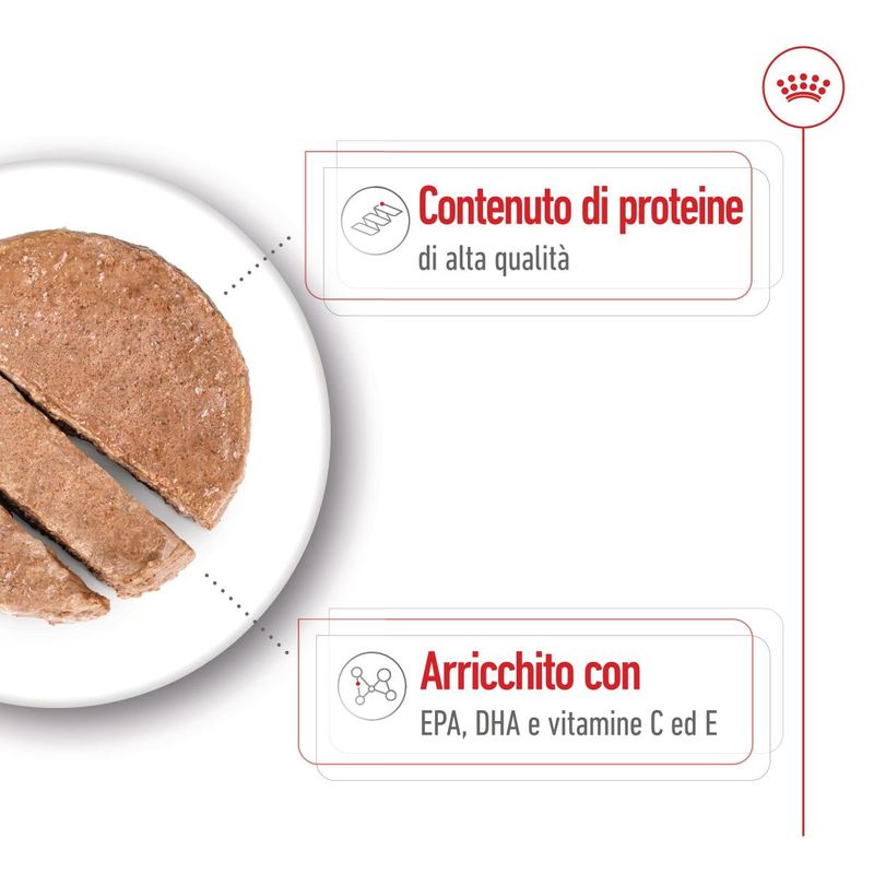 royal-canin-medium-ageing-lattina-410g-10174177--4-