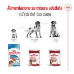 royal-canin-medium-ageing-lattina-410g-10174177--5-
