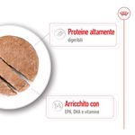 royal-canin-maxi-ageing-lattina-410g-10174179--4-