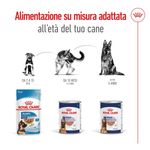 royal-canin-maxi-adult-lattina-410g-10174178--5-
