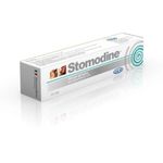 Gel-per-Gengive-Stomodine-10066