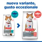 hill-s-science-plan-gatto-adult-sterilised-salmone-10175756--3-