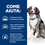 hill-s-prescription-diet-i-d-digestive-care-sensitive-alimento-secco-per-cani-con-uova-e-riso-10064822--8-