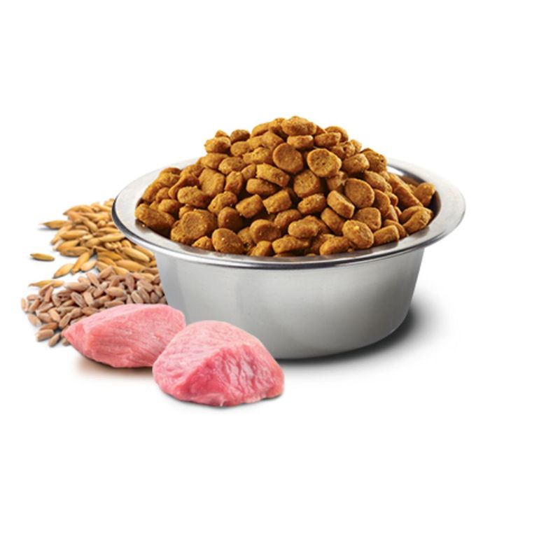 n-d-ancestral-gatto-adult-pollo-e-melograno-10110637--2-